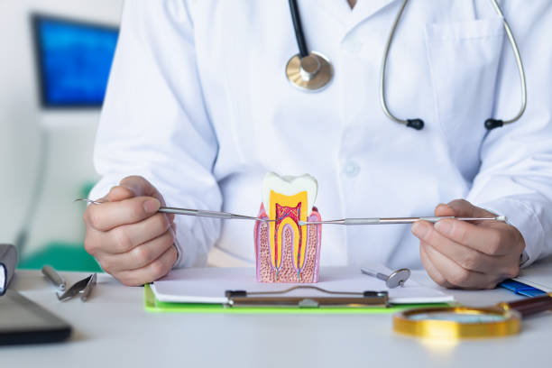 Best Weekend Emergency Dentist in Harwood Heights, IL